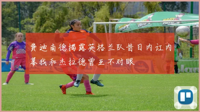 费迪南德揭露英格兰队昔日内讧内幕我和杰拉德曾互不对眼